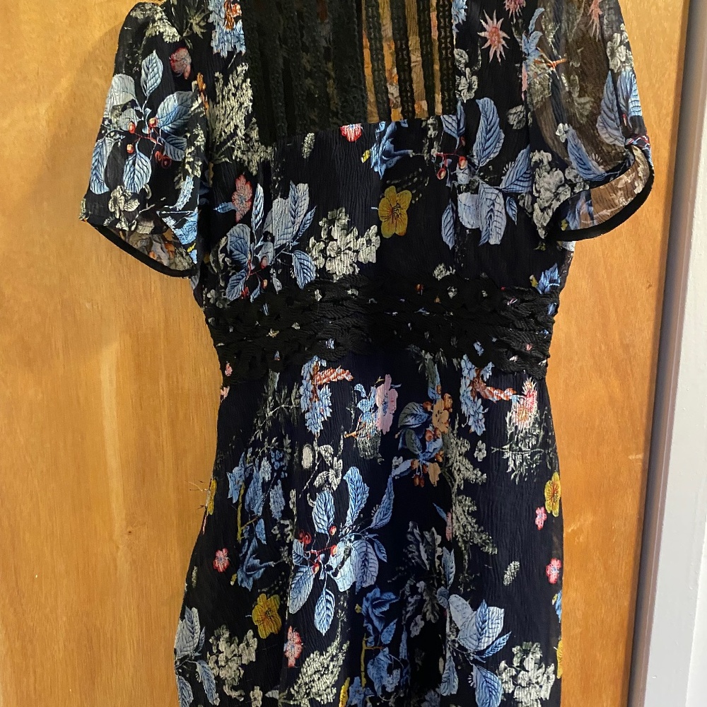 Anthropologie Butterfly and Floral Print Dress